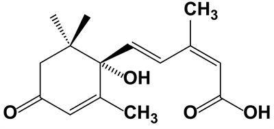 Unveiling the crucial roles of abscisic acid in plant physiology: implications for enhancing stress tolerance and productivity